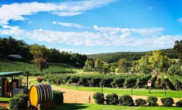 Perth Hills Wine Tours